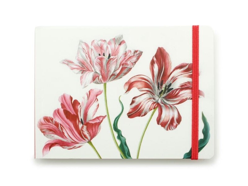 Cuaderno de bocetos, Tres tulipanes, Merian