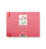 Schetsboekje, Drie tulpen, Merian