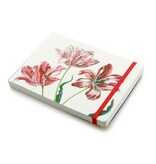 Skizzenbuch, Drei Tulpen, Merian