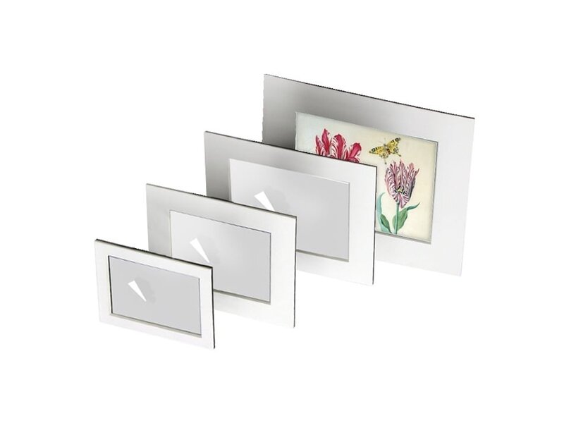 Matted prints with reproduction, XL, Two tulips with shell and insects, Marrel
