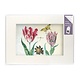 Passe-partout met reproductie, L, Twee tulpen met schelp en insecten, Marrel