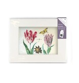 Passe-partout avec reproduction, M, Deux tulipes à coquille et insectes, Marrel Passe-partout avec reproduction, M, Deux tulipes à coquille et insectes, Marrel