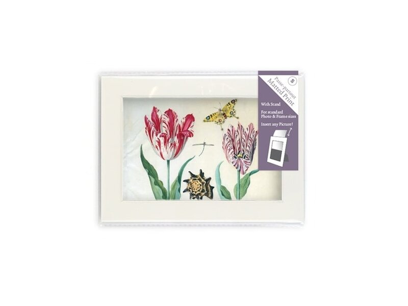 Passe-partout avec reproduction, S, Deux tulipes à coquille et insectes, Marrel