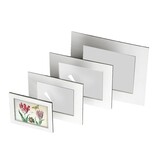 Passe-partout avec reproduction, S, Deux tulipes à coquille et insectes, Marrel