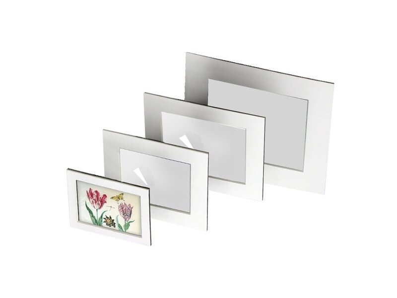 Passe-Partout mit Reproduktion, S, Zwei Tulpen mit Muschel und Insekten, Marrel