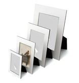 Passe-partout M,  40x18cm, Chardonneret, Carel Fabritius