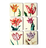 Onderzetters, Ksenia tulpen