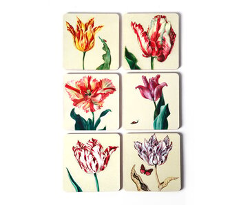 Onderzetters, set van 6,  Ksenia tulpen