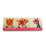 Posavasos, tulipanes Ksenia