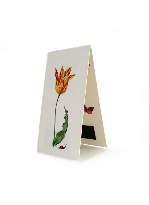 Magnetisches Lesezeichen, Tulpe Ksenia