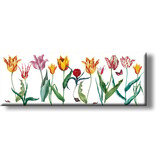 Fridge magnet, tulips Panorama