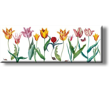Fridge magnet, tulips Panorama