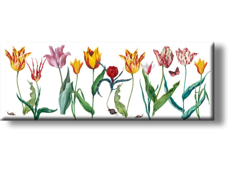 Fridge magnet, tulips Panorama