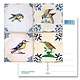 Carte postale, tuiles bleues de Delft Tableau oiseaux