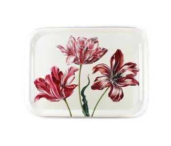 Tray Laminate large, Three tulips, Merian