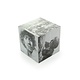 Cube magique, Rembrandt