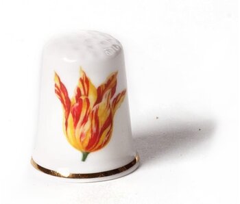 Vingerhoedje, Rood met geel tulp, Marrel
