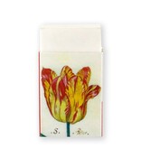 Eraser, Tulips, Marrel
