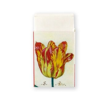 Borrador, tulipanes, marrel