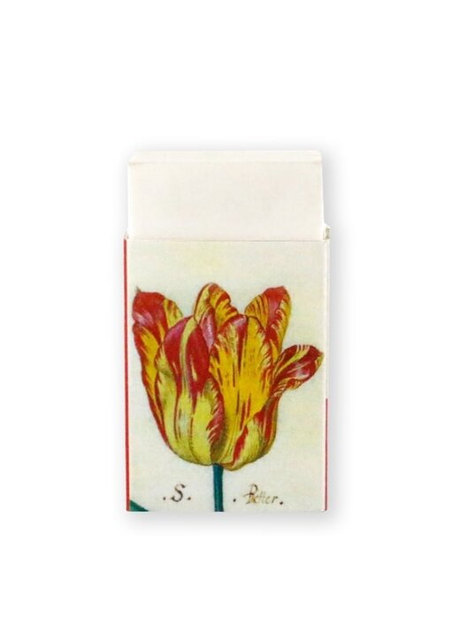 Borrador, tulipanes, marrel