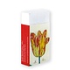 Borrador, tulipanes, marrel
