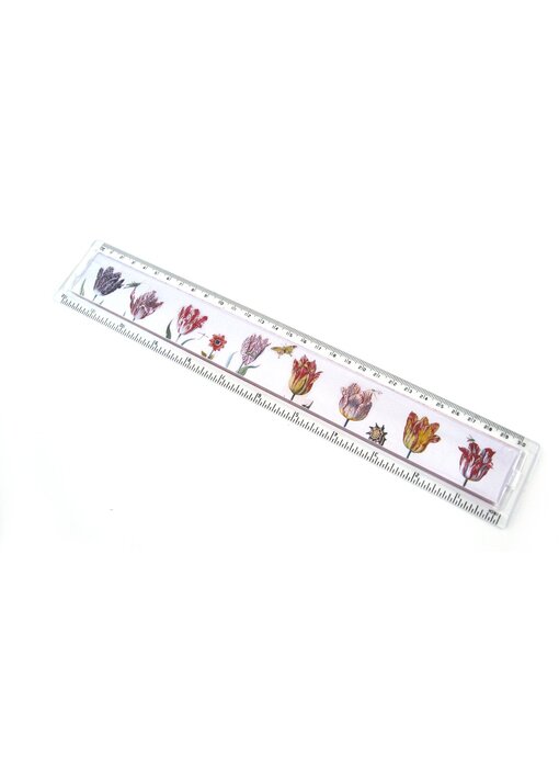 Règle, Tulipes, Marrel