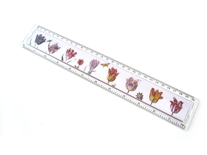 Liniaal, Tulpen, Marrel