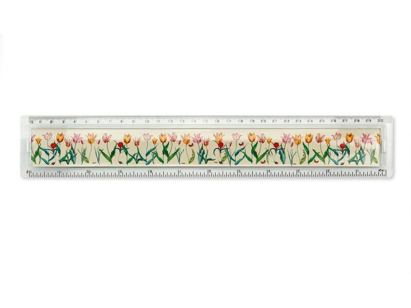 Meßlatte, gemischte Tulpen