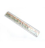 Ruler W, Mixed Tulips