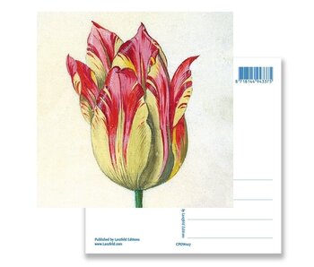 Postal, amarillo con tulipán rojo, Marrel