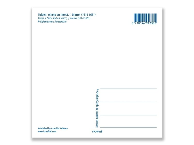 Postal, tulipanes, conchas e insectos. Marrel