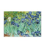 Fridge Magnet, Irises, Van Gogh