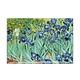 Fridge Magnet, Irises, Van Gogh