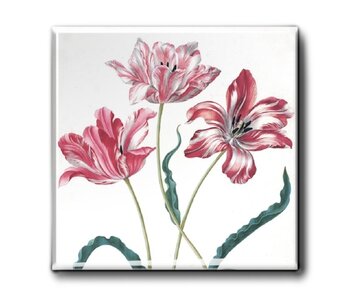 Imán de Nevera, Tres Tulipanes, Merian