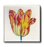 Aimant pour réfrigérateur, Tulipe jaune rouge, Marrel