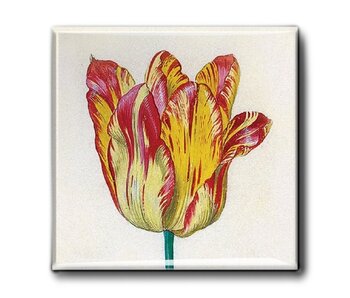 Kühlschrankmagnet, rot-gelbe Tulpe, Marrel