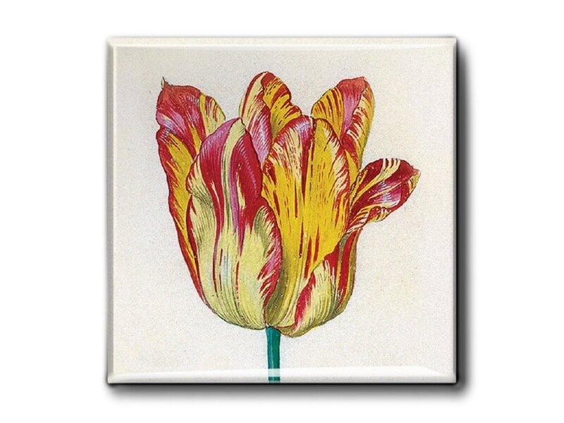 Aimant pour réfrigérateur, Tulipe jaune rouge, Marrel