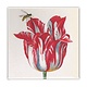 Imán de nevera, Tulipán rojo con abeja, Marrel