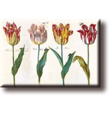 Koelkastmagneet, Vier tulpen met insecten, Marrel