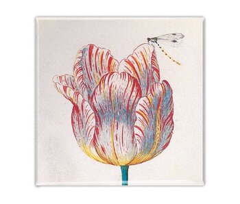 Koelkastmagneet, Witte tulp met Insect, Marrel