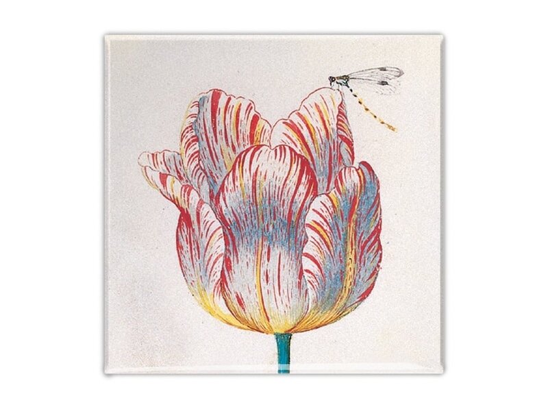 Aimant pour réfrigérateur, tulipe blanche avec insecte, Marrel