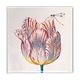 Imán de nevera, tulipán blanco con insecto, marrel