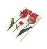 Paño de lente, 10 x 15 cm, dos tulipanes con insectos, Marrel