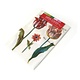 Lens cloth, 10 x 15 cm, Two tulips with insects, Marrel