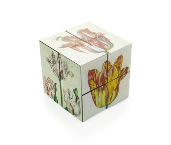 Klappürfel, holländischer Tulpen Marrel-Kunstwürfel
