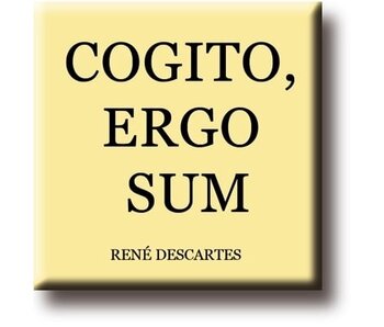 Kühlschrankmagnet, René Descartes, Cogito, Ergo Summe