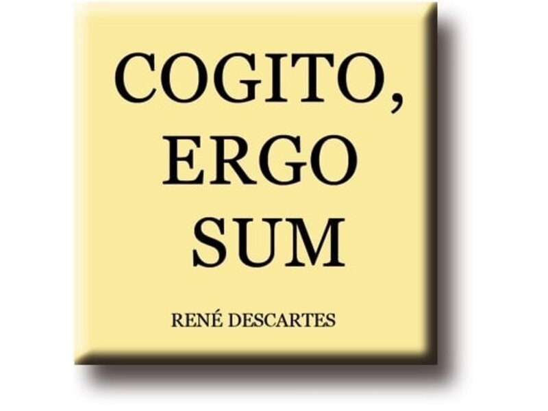 Kühlschrankmagnet, René Descartes, Cogito, Ergo Summe
