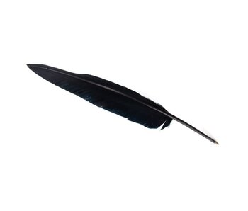 Stylo plume, Noir