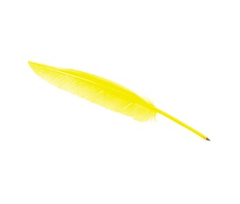 Pluma, amarillo