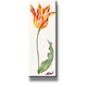 Kühlschrankmagnet, Tulpe mit Insekten